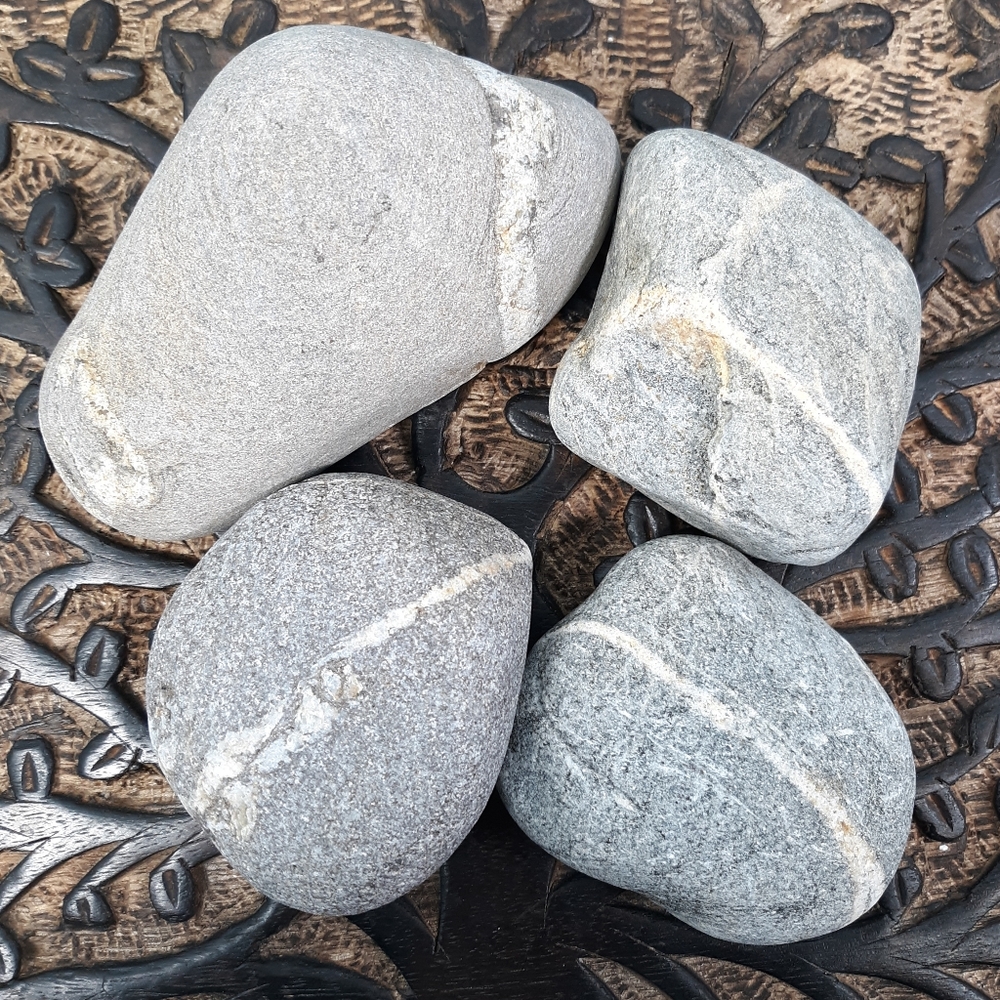 4 Maine Banded Stones East Coast Beach Rocks Raw Mineral Specimens Gray White